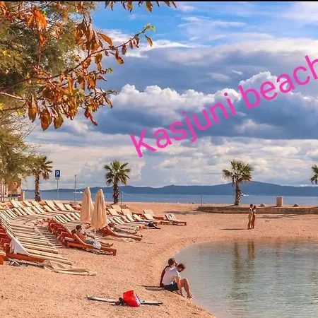 Viking Moon * スプリト